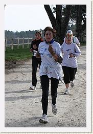 Fargues 15.02.09 3 404 * 320 x 480 * (78KB)